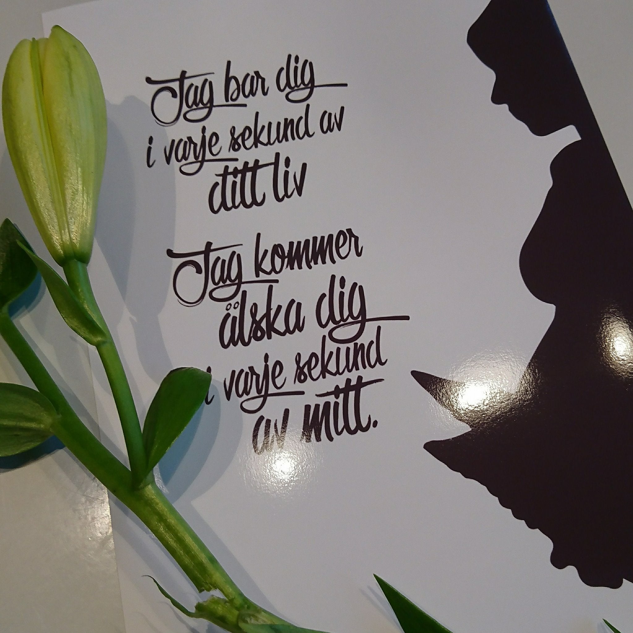 Mamma i saknad - Barnuppropet